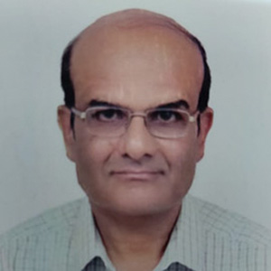 Mr. Narayan Raman